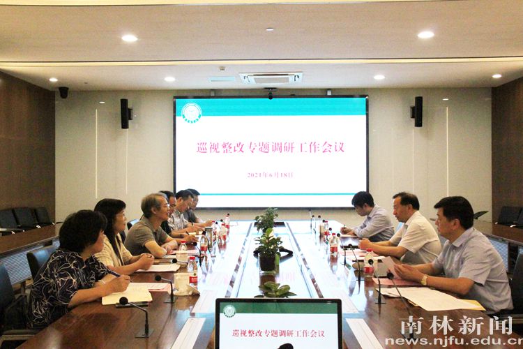 巡视整改专题会照_副本