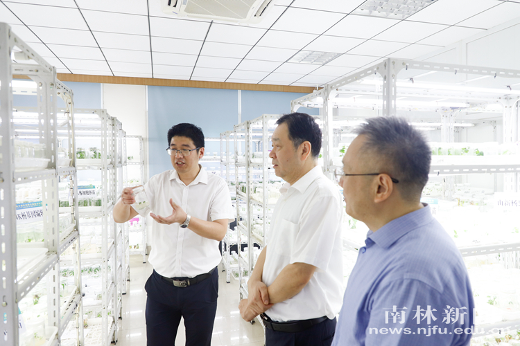 微信图片_20250808120923_副本