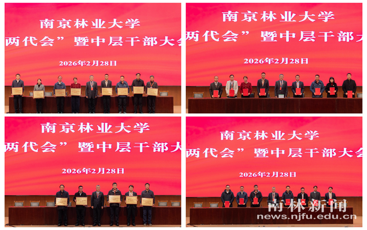 微信图片_20260228193728_3243_83_副本_副本