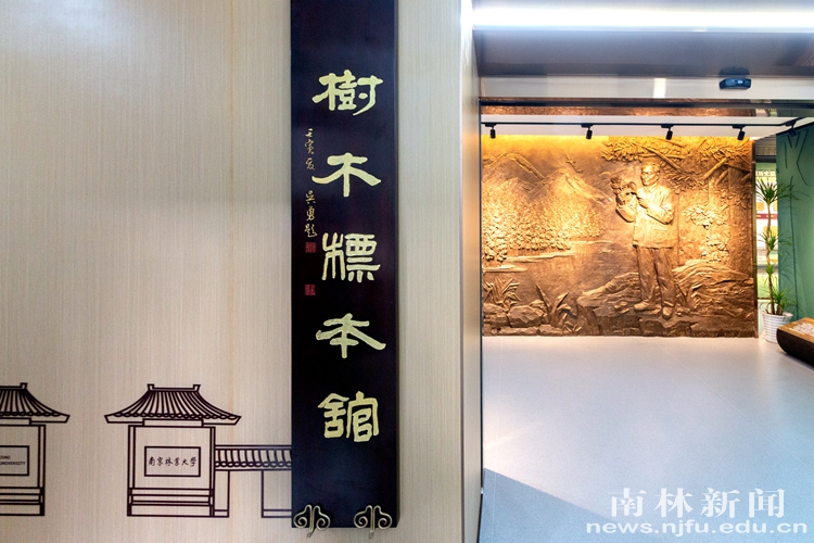 南京林业大学树木标本馆 (1)_副本