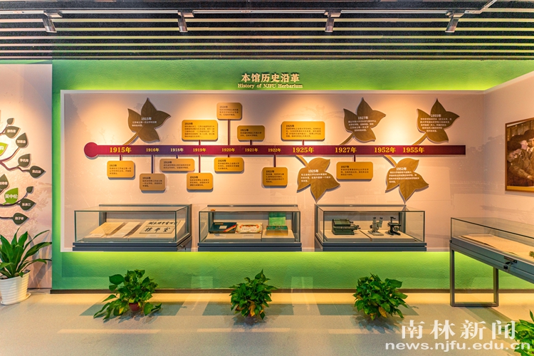 南京林业大学树木标本馆 (4)_副本