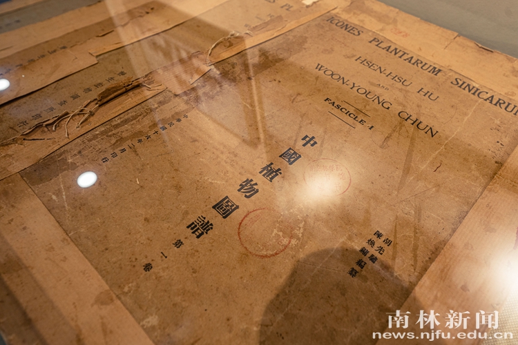 南京林业大学树木标本馆 (6)_副本