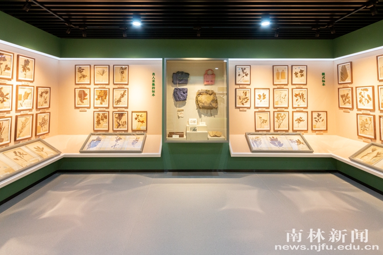南京林业大学树木标本馆 (2)_副本