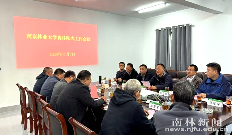 微信图片_20241109103542_副本
