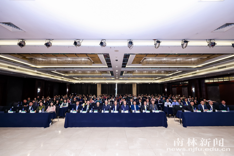 337A9151.JPG~tplv-9lv23dm2t1-image_副本_副本