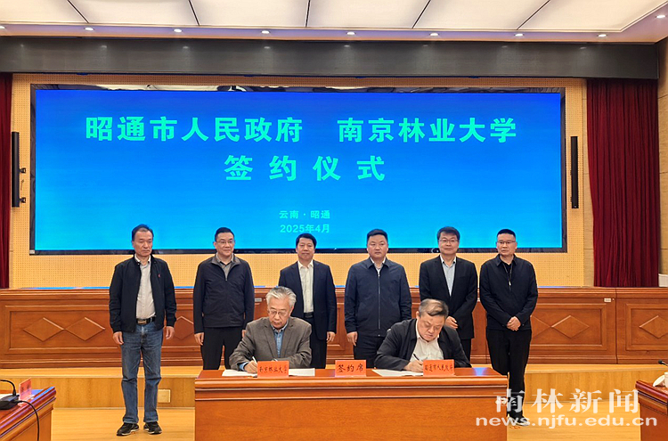 图片1_副本_86919图片1_副本