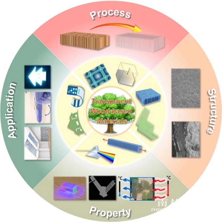  progress in materials science 