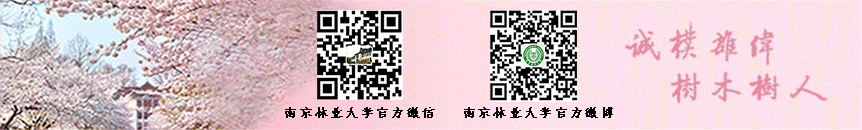 网页二维码_43020网页二维码